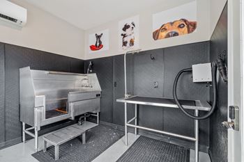 Pet Spa